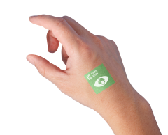 The Sustainable Development Goal 13 tattoos - Climate action English